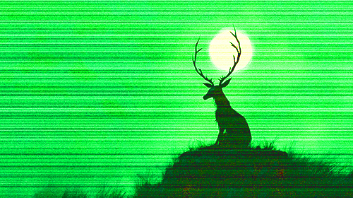 Jackalope